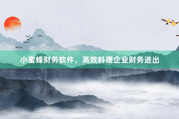 小蜜蜂财务软件，高效料理企业财务进出