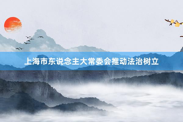 上海市东说念主大常委会推动法治树立