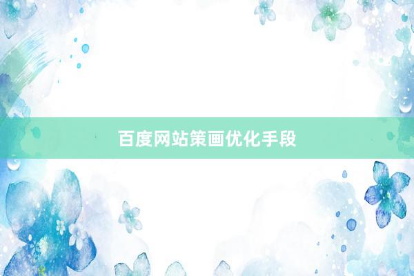 百度网站策画优化手段