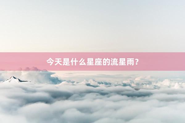 今天是什么星座的流星雨？